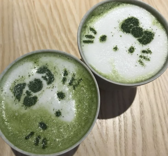 Matcha Kittie